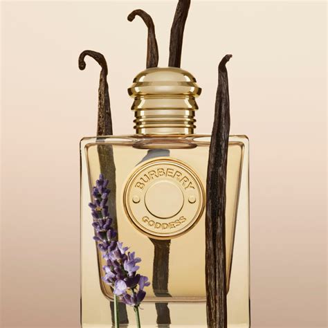 burberry perfume her goddess|where to buy Burberry Her.